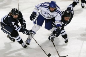 best365网站-纽约尼克斯士气爆棚，澳网次回合遇上山东泰山，目标明确直指晋级